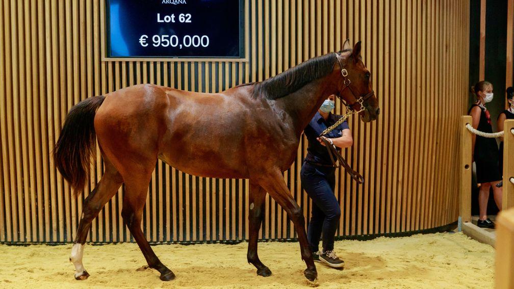 Haras d’Haspel’s Kingman filly tops the opening day of Arqana's August Yearling Sale when making €950,000 to Anthony Stroud