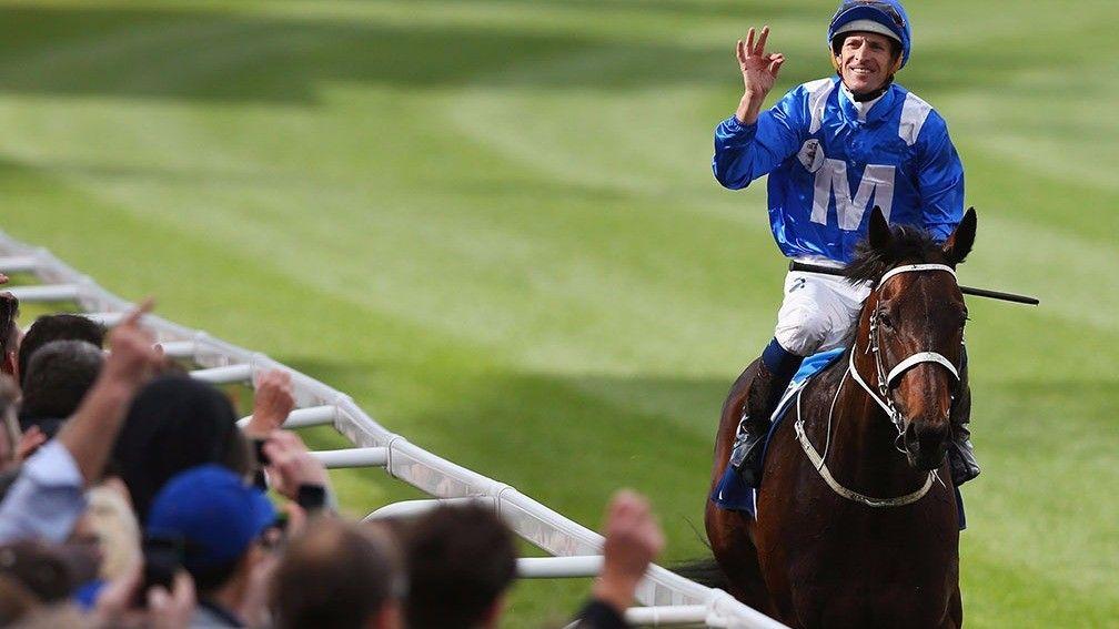 Winx: the Australian superstar sadly lost her foal