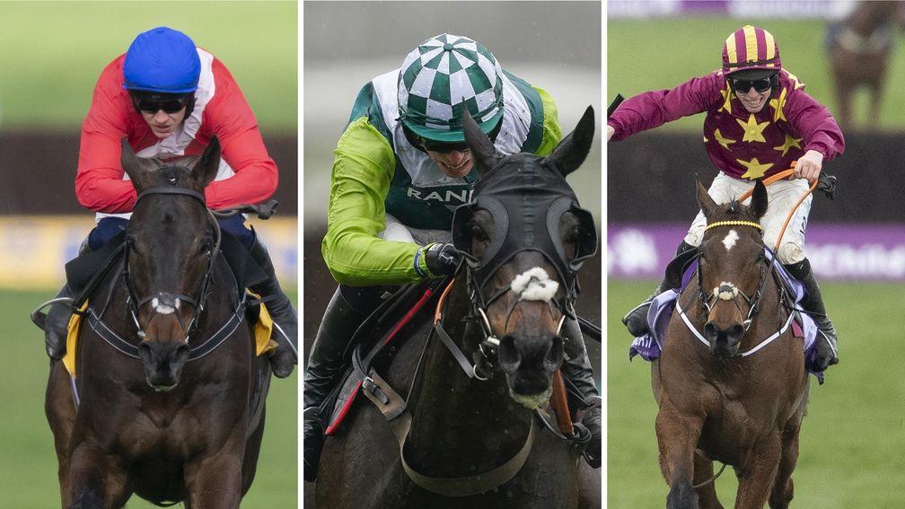 Allaho, Clan Des Obeaux and Minella Indo: big guns head Punchestown Gold Cup line-up