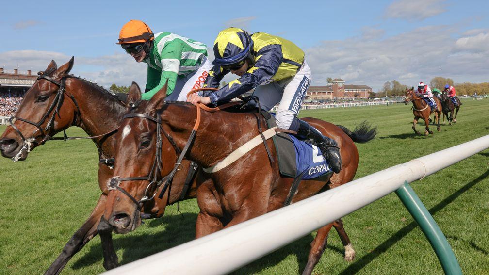 Surrey Quest (right) was beaten a nose by Macdermott in the Scottish Grand National