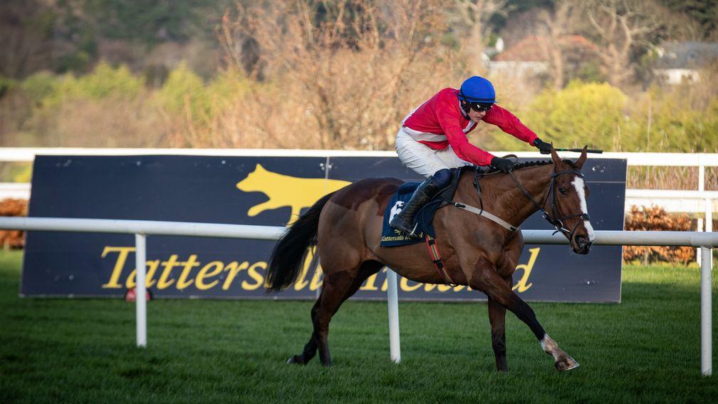 Sir Gerhard: now the outright favourite for the opening Sky Bet Supreme Novices' Hurdle