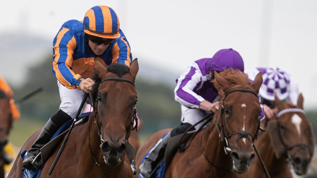 Admiral Nelson (left): caused a stir with his debut victory at the Curragh