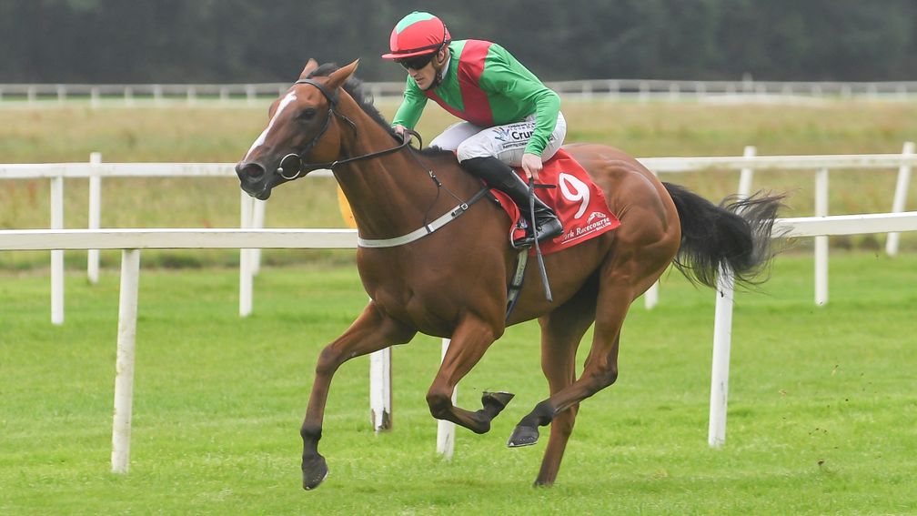 Coco nuts: La Petite Coco and Billy Lee win the Give Thanks Stakes easily