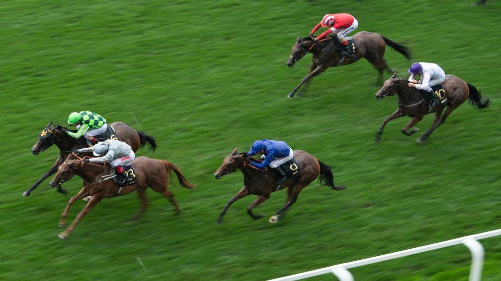 Final Song (centre) was third at Royal Ascot last year in the Queen Mary and could head back there for the Jersey Stakes