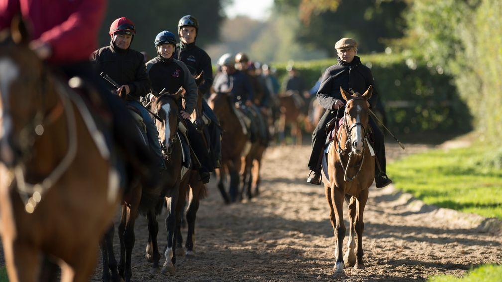 Andre Fabre returns with his string after exercise on Les Aigles, the gallops at Chantilly