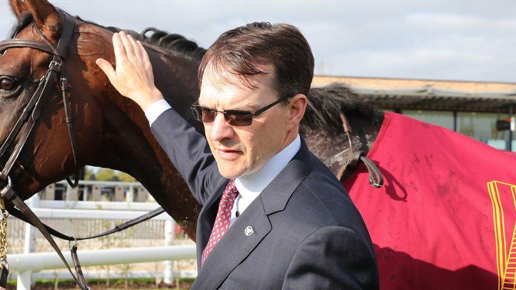 Peaceful should be a group class filly for Aidan O'Brien