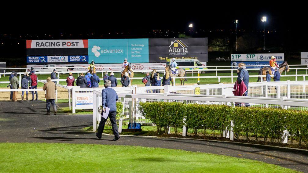 False start horses that crossed the line waiting to here if they have to withdraw at NEWCASTLE 12/12/20Photograph by Grossick Racing Photography 0771 046 1723