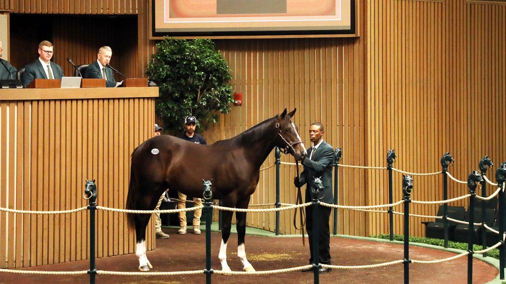 The Girvin colt who topped Book 5 at $290,000