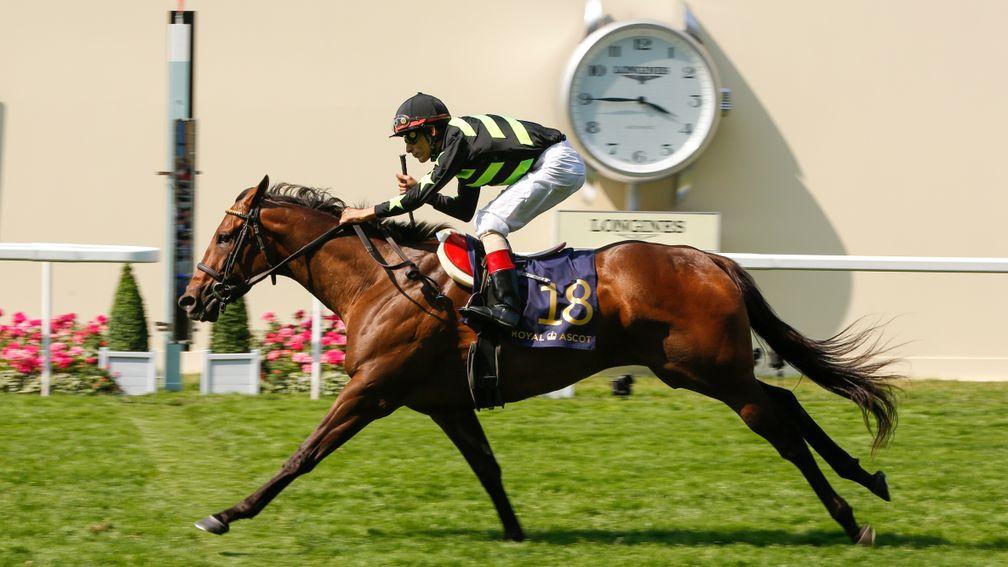Lady Aurelia: King's Stand win was just outside the course record