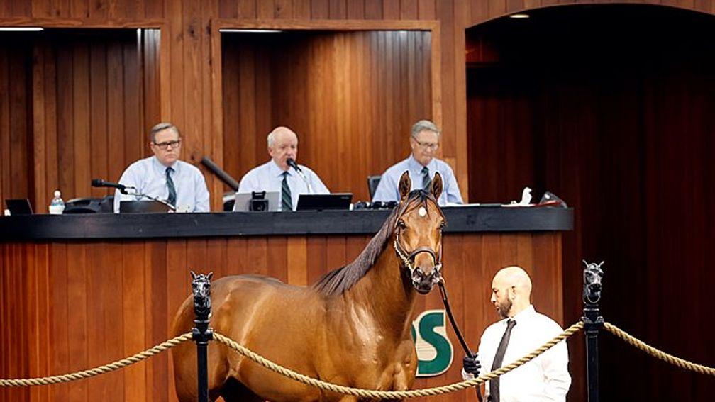 The session-topping colt, the most expensive Gun Runner two-year-old ever sold at auction