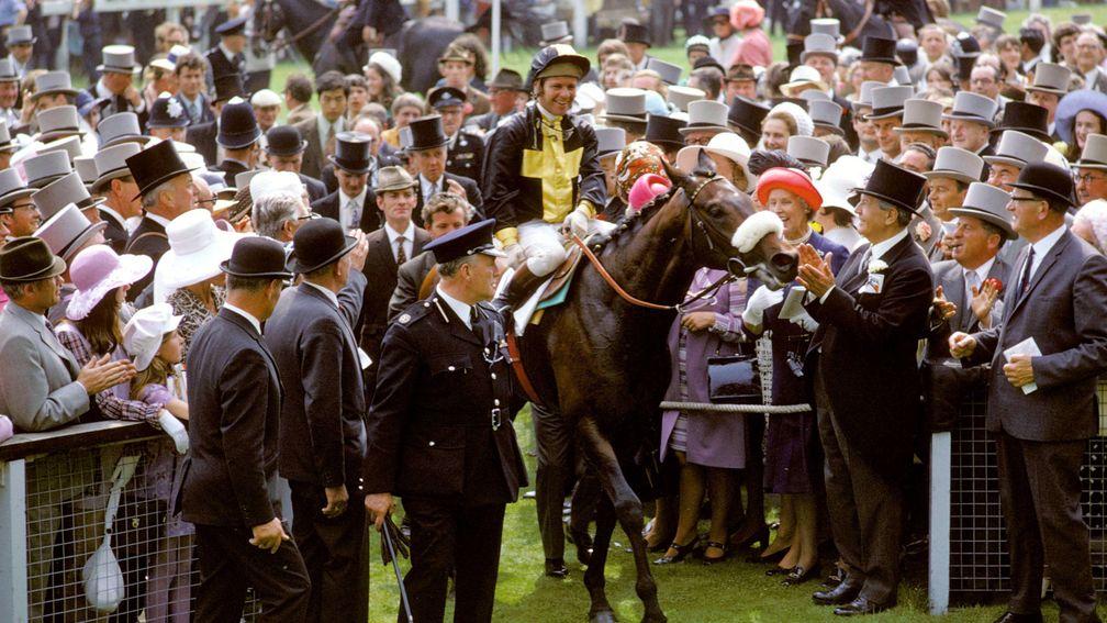 Mill Reef: his trainer Ian Balding has been recalling the career of his greatest horse