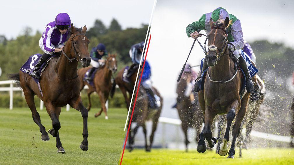 Tower Of London and Teed Up are two of the leading contenders for the Irish Cesarewitch