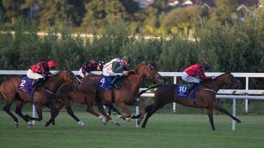 Leopardstown: racing on Friday