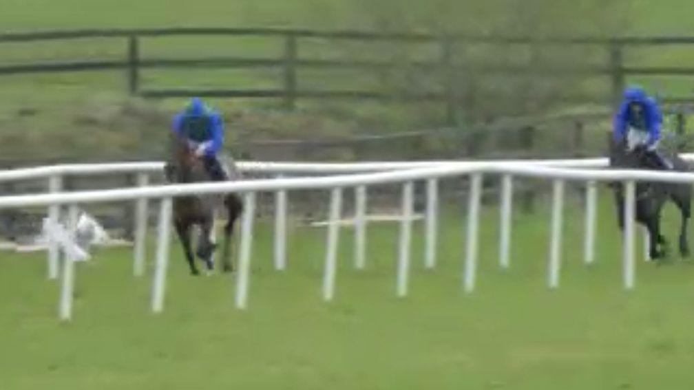 Owl Creek Bridge avoids a swan on the run for home at Punchestown