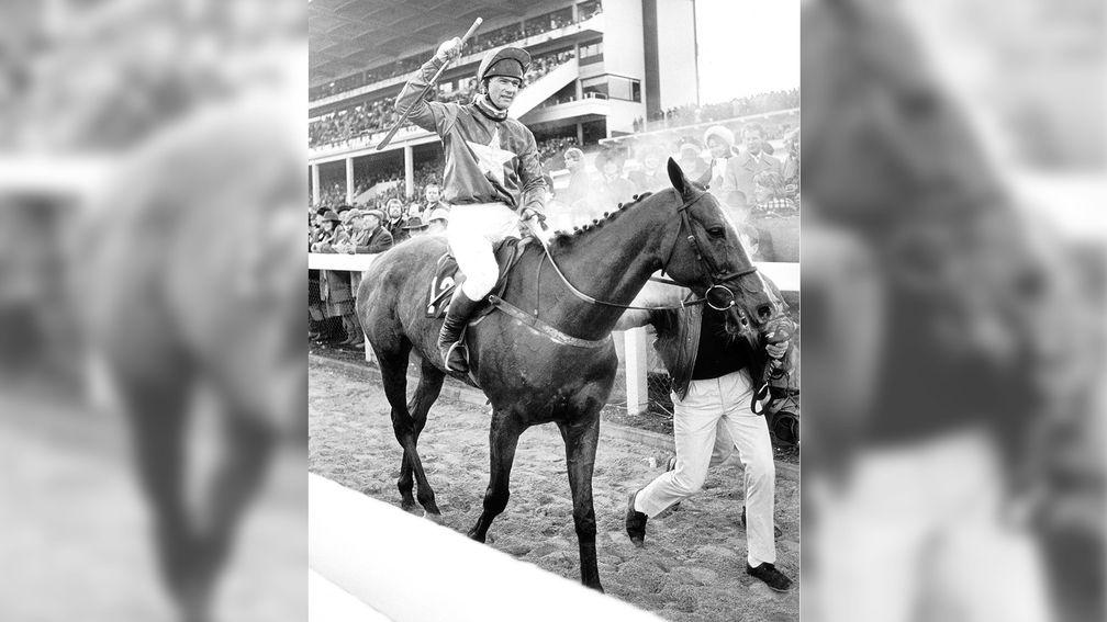 The Thinker and Ridley Lamb return after winning the 1987 Gold Cup