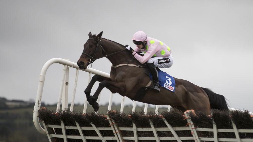Getabird: the favourite for the Supreme Novices' Hurdle at the Cheltenham Festival