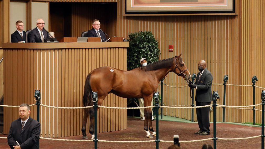 Stonehaven Steadings' Justify colt sells to Michael Talla and West Point Thoroughbreds for $1.55 million