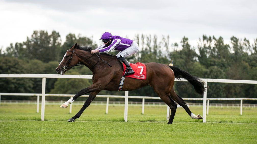 'She seems to be in good form' - High Heels one O'Brien's four runners in the Naas Oaks Trial