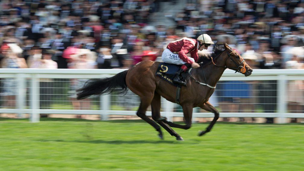 Heartache (Adam Kirby): beat a Wesley Ward hotpot in the Queen Mary at Royal Ascot