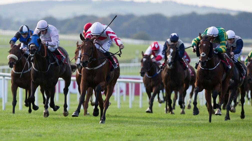Laws Of Spin (centre) and Chris Hayes head to victory in the Irish Cesarewitch