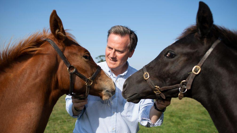 General Manager Julian Dollar with two foals
