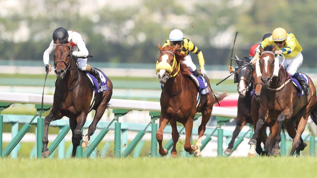 Mikki Rocket (black cap) is chased down by Werther (right) but holds on at Hanshin