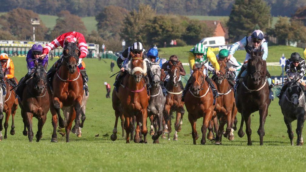 Son Of Rest (Chris Hayes, red and white with white cap) and Baron Bolt (Cameron Noble, pink star, navy blue cap) about to dead-heat in the Ayr Gold Cup
