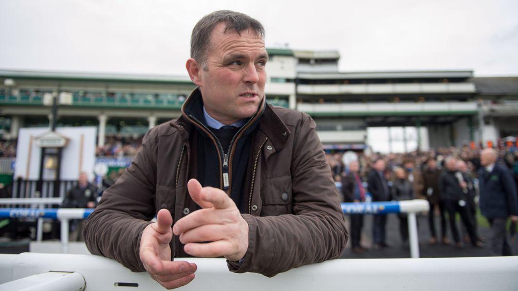 Evan Williams: 'We always seem to manage to find a nice horse or two'