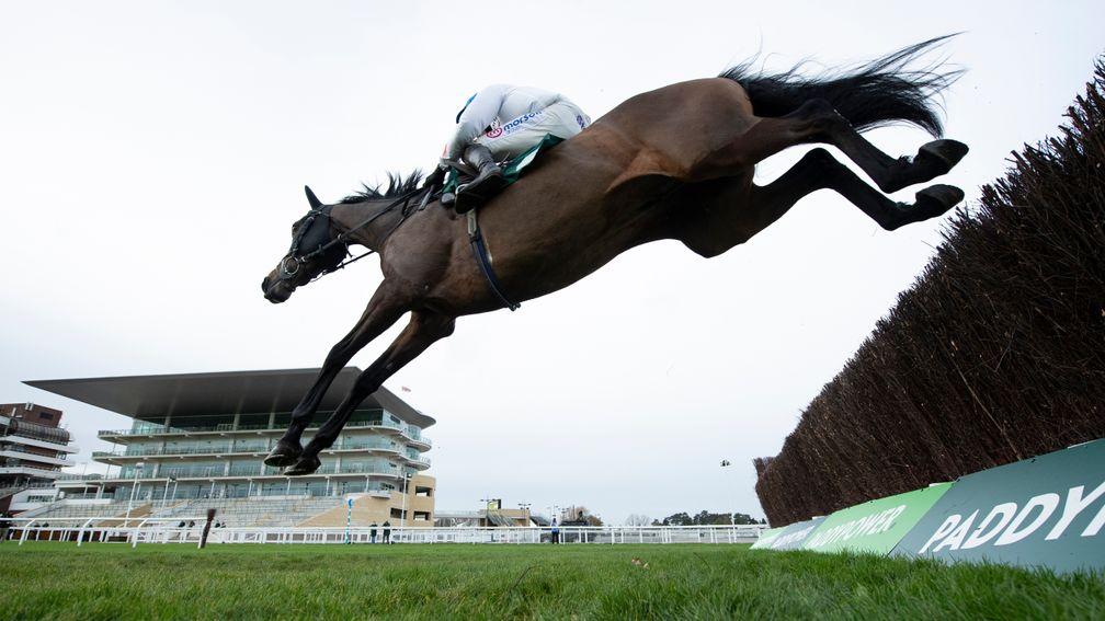 Protektorat (Harry Skelton) jumps the last fence (on the 1st circuit) and wins the 2m 4f novices chaseCheltenham 13.11.20 Pic: Edward Whitaker/Racing Post