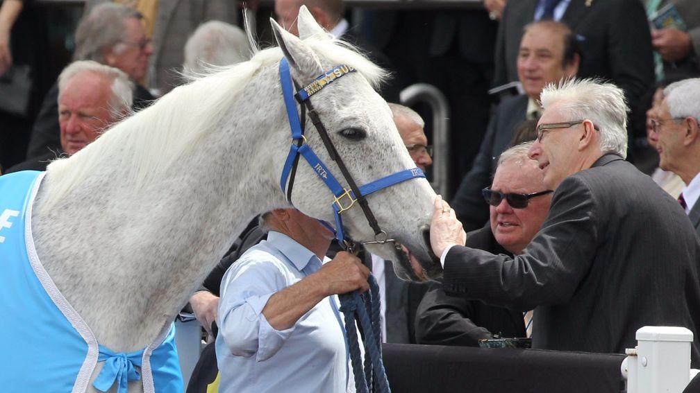 Subzero, the best-loved horse in Australia, meets and greets his fans