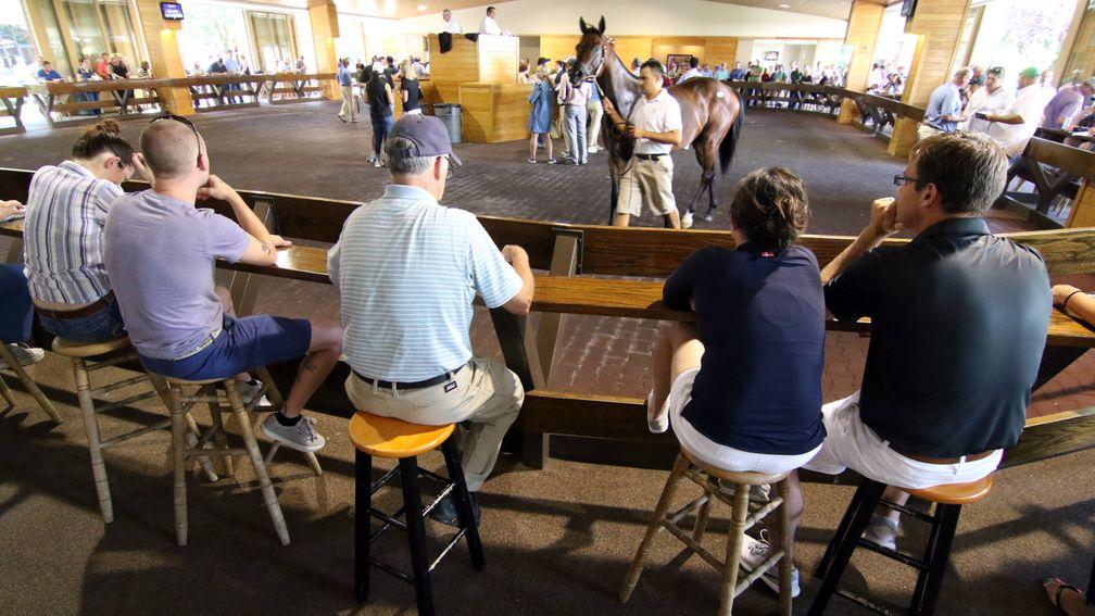 Buyers scouting for talent at the Fasig-Tipton July Sale