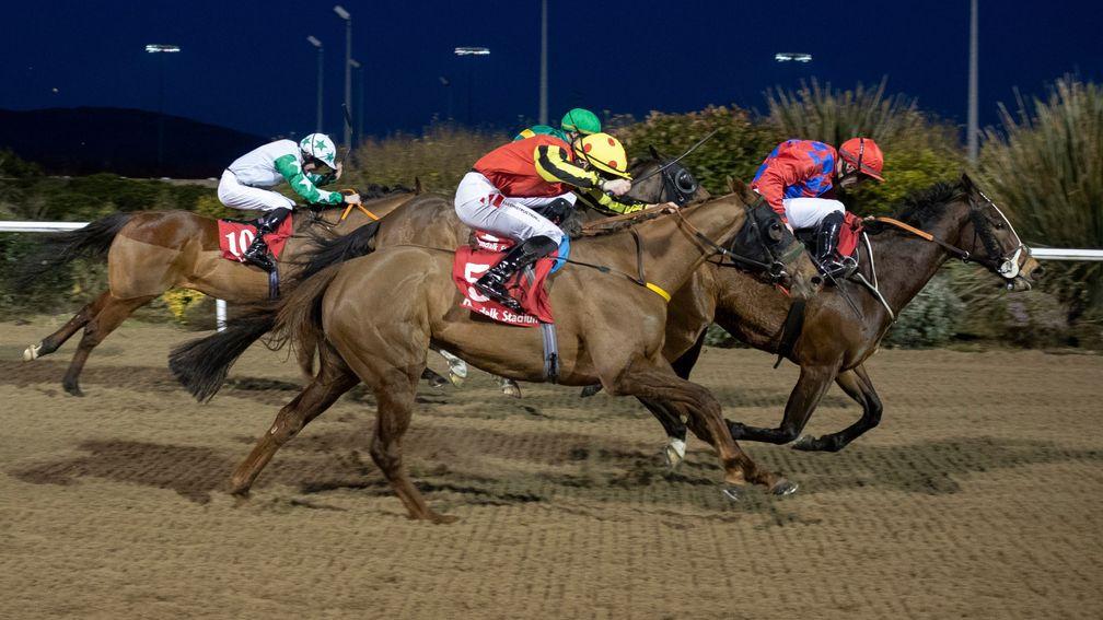 Sheisdiesel (yellow cap) swoops late to catch Reckless Lad (right) at Dundalk this month