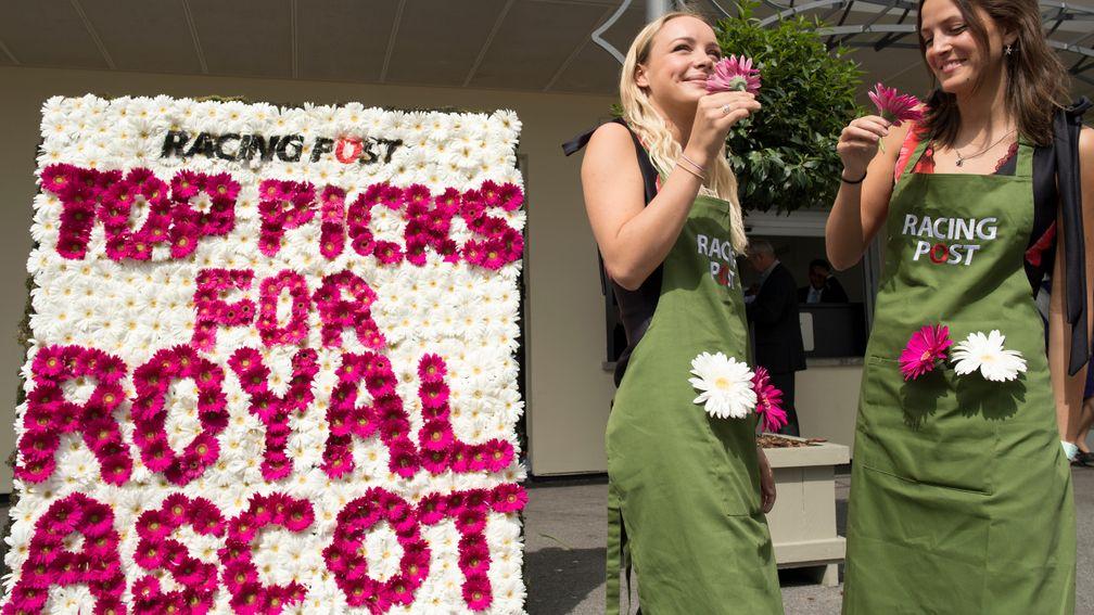 The specially commissioned Racing Post flower wall