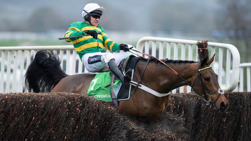 Champ falls two out in the Dipper Novices' Chase at Cheltenham on New Year's Day