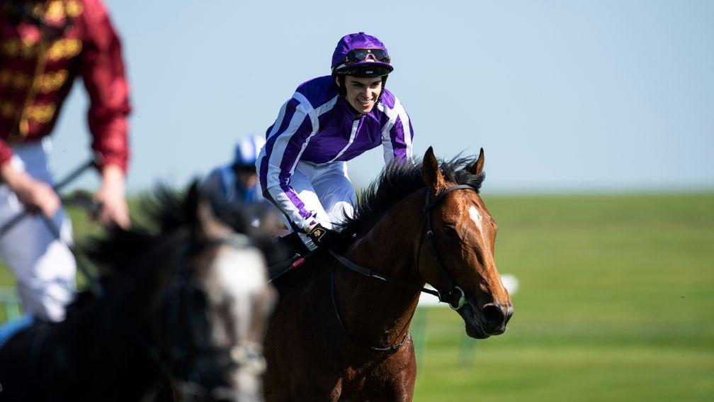 Saxon Warrior: could excel over longer trips