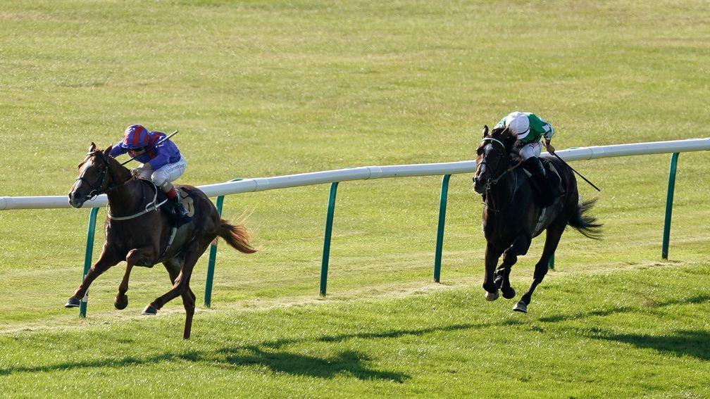 Nayef Road wins the Rose Bowl Stakes at Newmarket