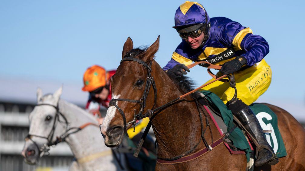Corach Rambler: could contest the Ultima at the Cheltenham Festival