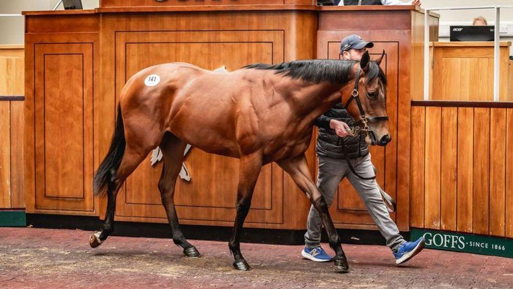 Donovan Bloodstock's King Of Change filly out of Evie Speed sells to Alex Elliott for £280,000 at the Goffs Doncaster Breeze-Up Sale