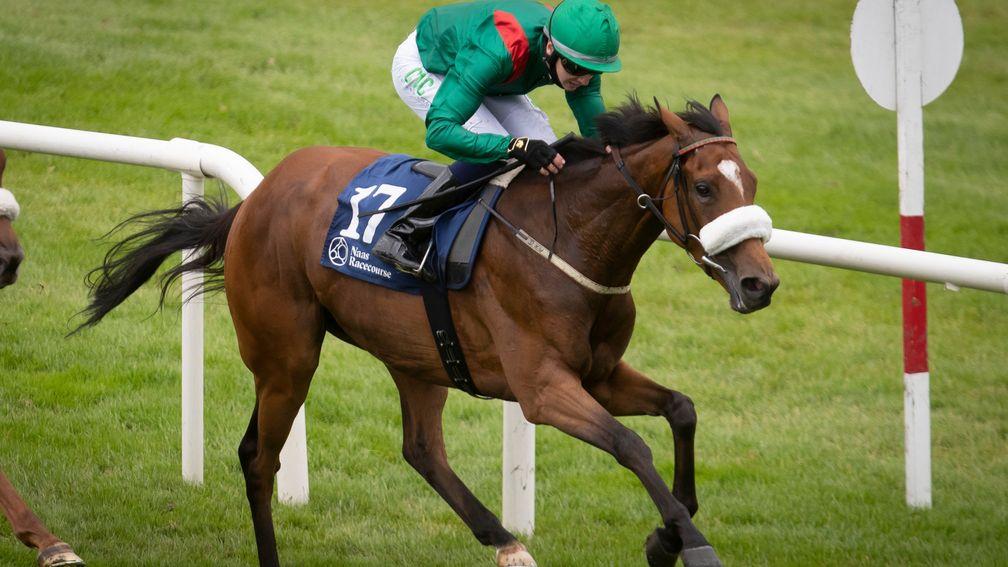 Kassaba makes a good impression with victory at Naas in July