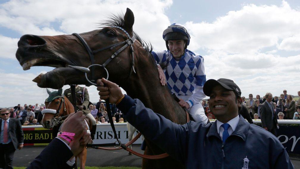Al Kazeem looks pleased with himself after his second Tattersalls Gold Cup victory