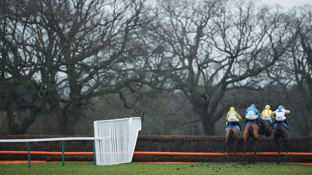 Fontwell: Kentford Heiress finished second in the Mares Handicap Hurdle last year