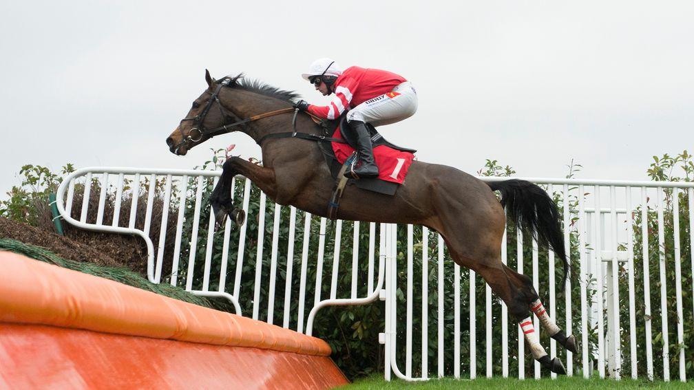Coneygree: second to Cue Card in the Betfair Chase