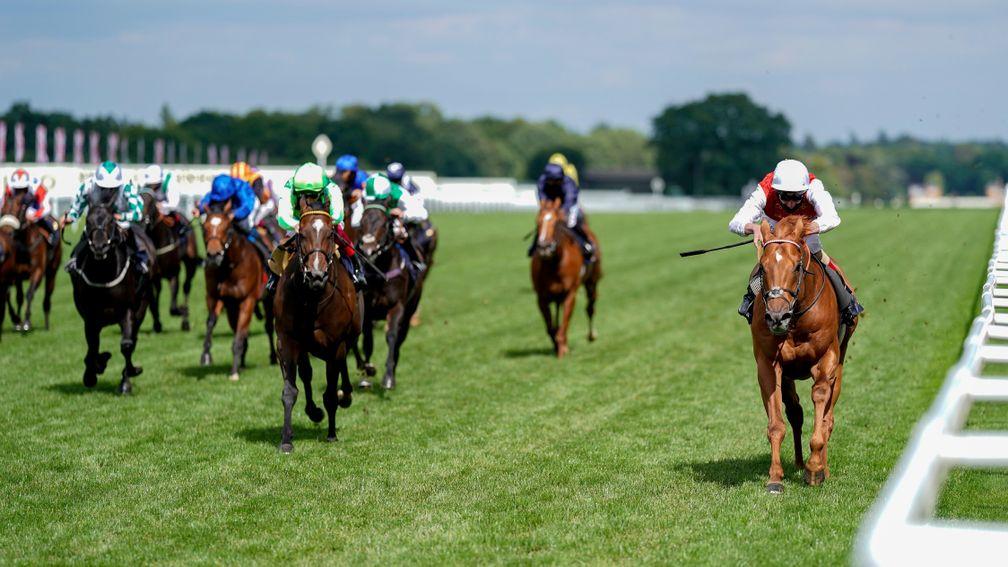 Golden Horde (right) storms to success in the Commonwealth Cup
