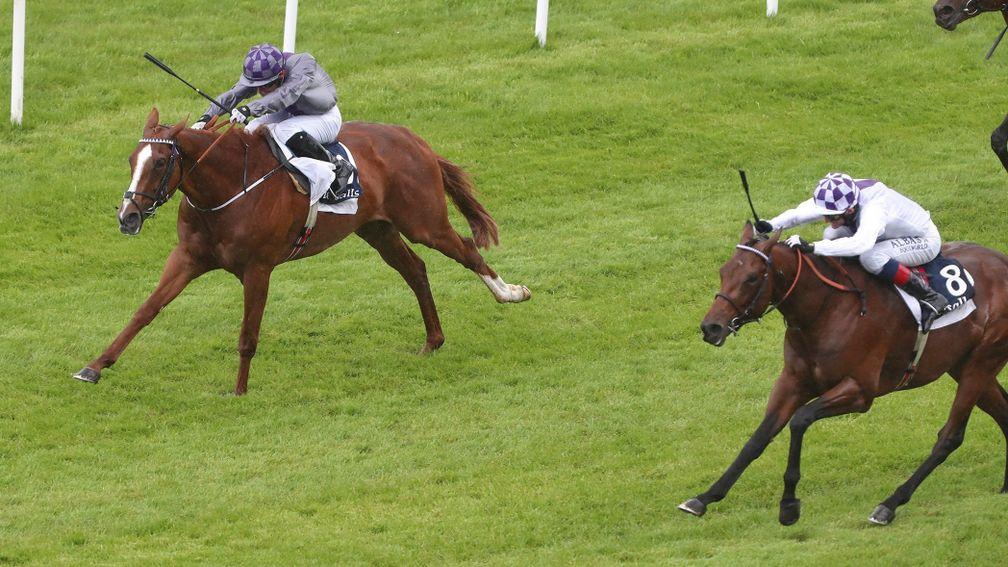 Poetic Flare (right): showed tremendous toughness to finish a close second in the Tattersalls Irish 2,000 Guineas after travelling to France the previous weekend