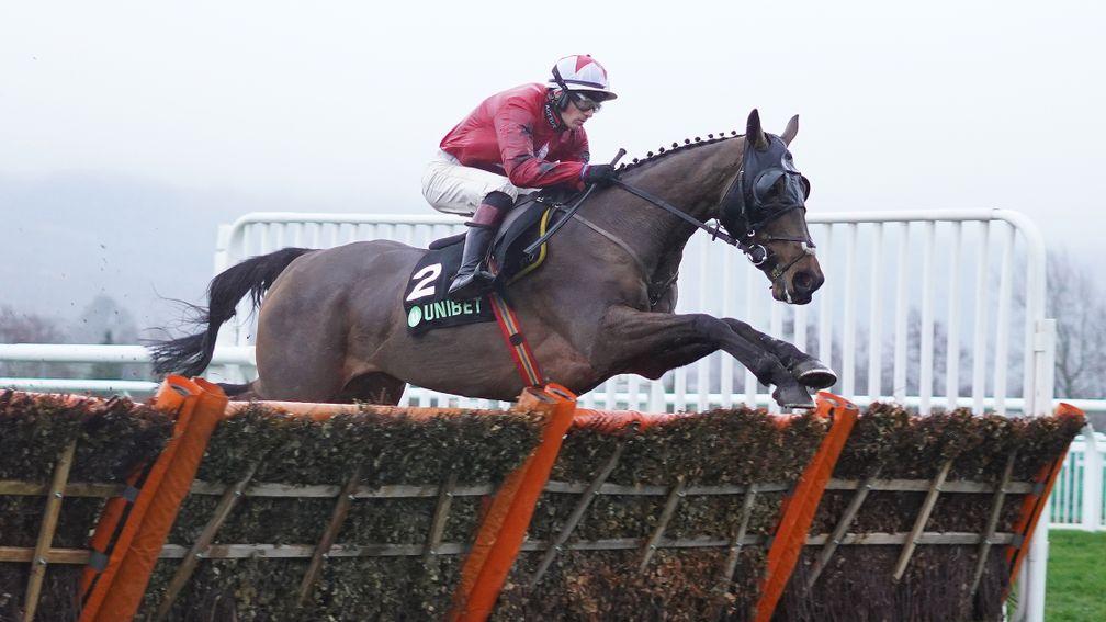 The New One: retired after being pulled up in the International Hurdle