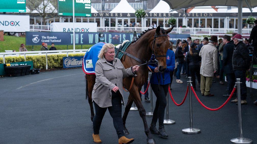 Love Envoi makes £135,000 at the Goffs Aintree Sale on Thursday