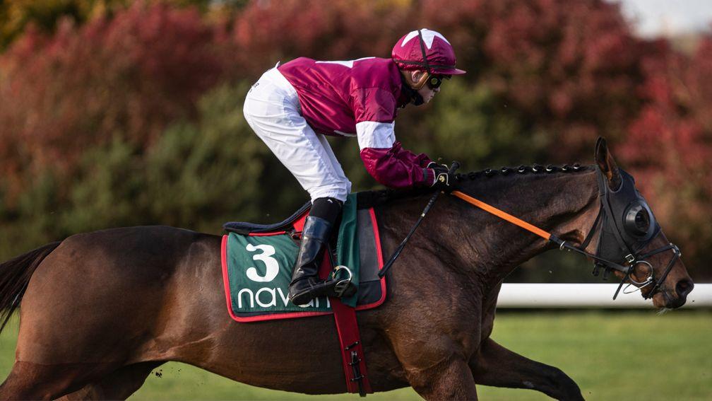 Tiger Roll and Sam Ewing finished sixth in the 1m6f maiden at Navan
