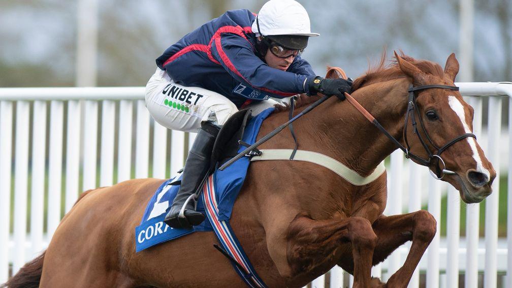 Song For Someone: trainer Tom Symonds is happy to have missed the Champion Hurdle