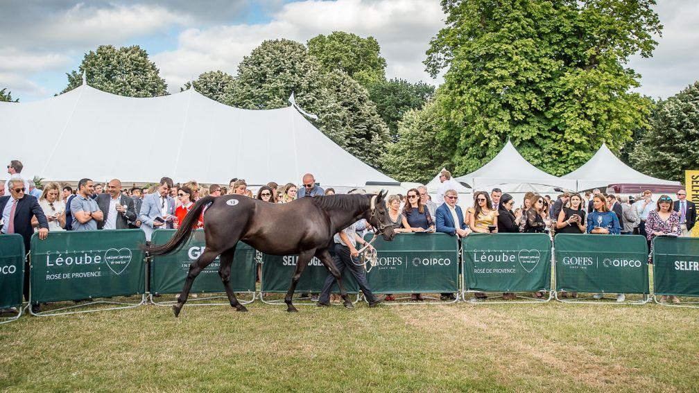 Goffs: Miss Beatrix sells for £400,000 at the London Sale on Monday