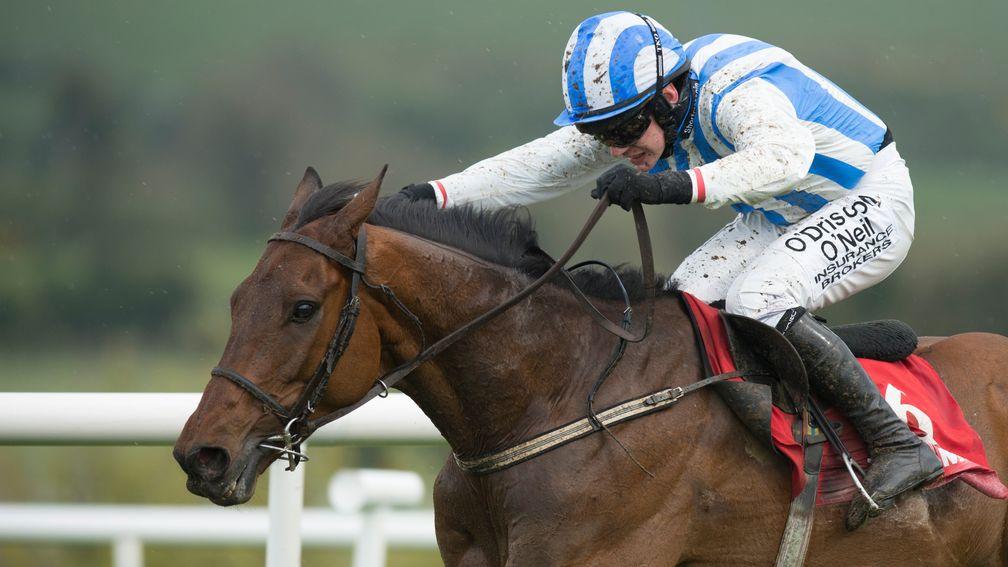 Killultagh Vic: has been retired at the age of 11